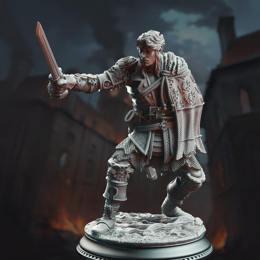 Half-Elf Swashbuckler - Corin of Lamhet