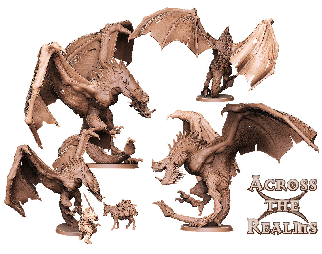 Wyvern 50mm Base